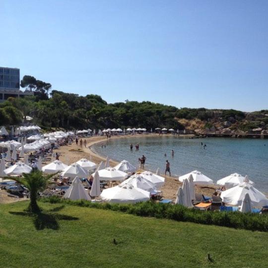 Queen Aphrodite Hotel Karpasa Exterior foto